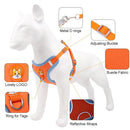 Coleira Peitoral Cachorro + Conjunto de Guia Multimarket