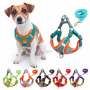 Coleira Peitoral Cachorro + Conjunto de Guia Multimarket